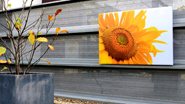 pgimg-3_20160622120938